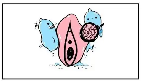 每日热点:全国哪里能看外阴白斑{实力话题}_疾病_患者_专业