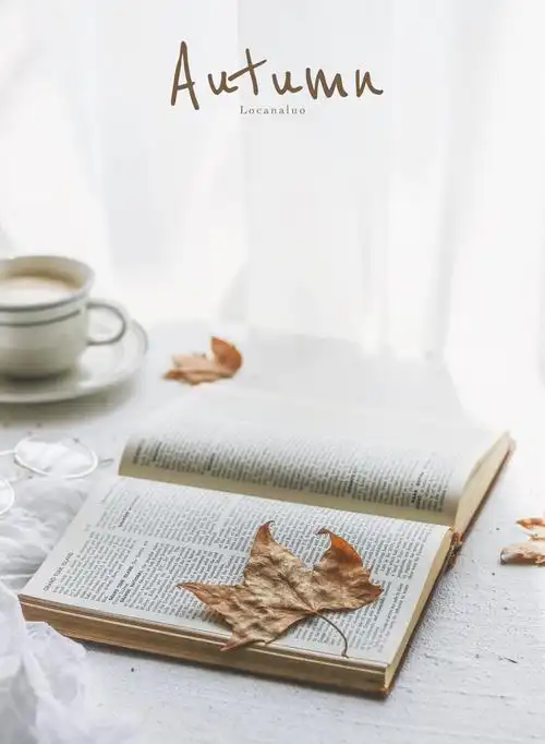 秋日阳光午后一本书一杯拿铁一桌透过纱帘跑上桌的阳光慵慵懒懒好不