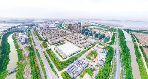 东部新区生机勃勃