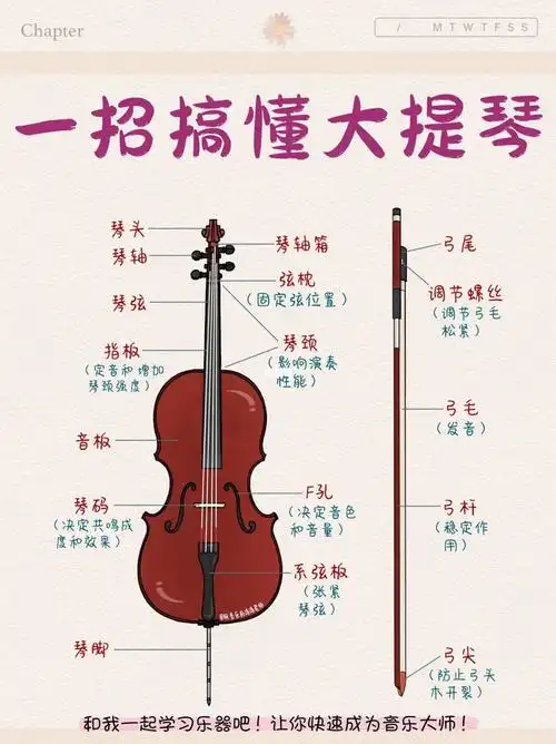 新手学习大提琴看不懂把位图?大提琴练习五线谱时看不懂对应音符位置?
