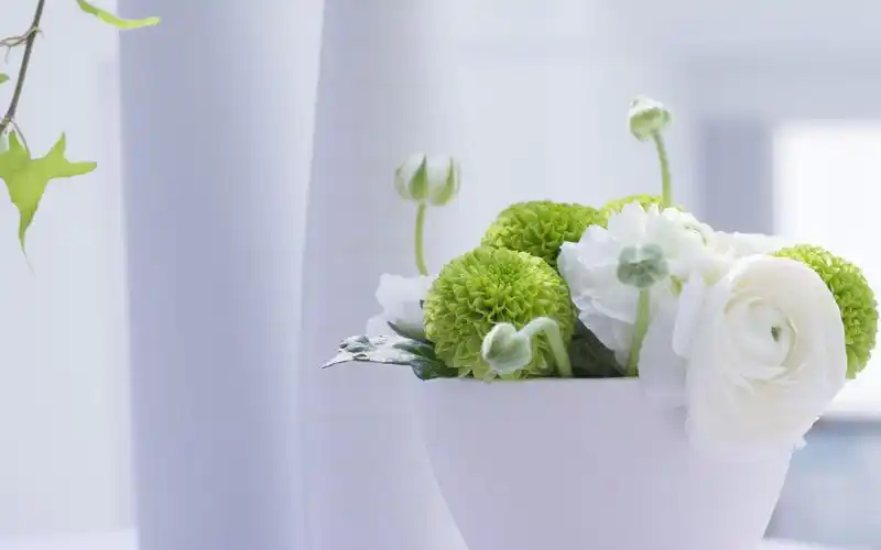 高端大气上档次的创意家居高清电脑桌面主题壁纸(一)