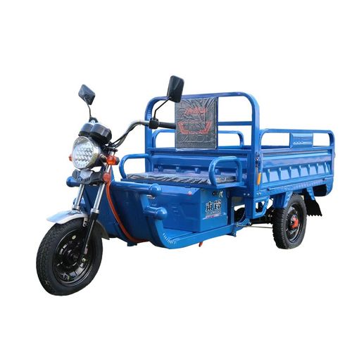 新国标拉货电瓶车家用新款快递三轮成人王成人载重电动三轮车