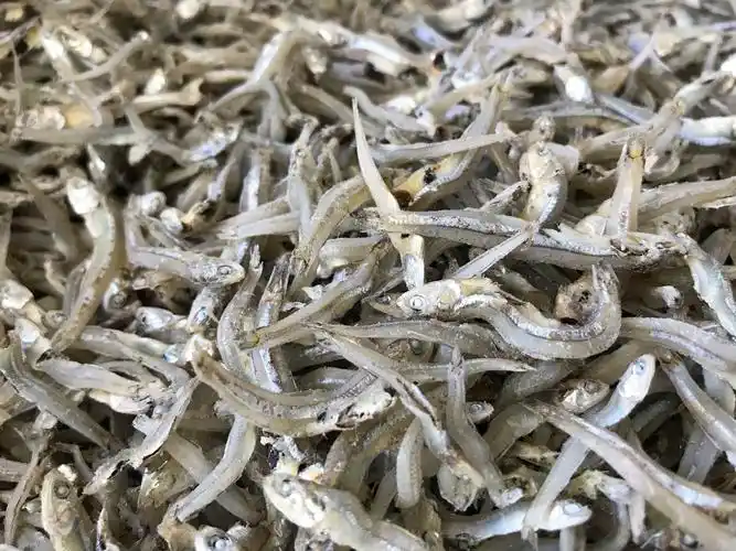 干货小鱼250g自晒海鱼公鱼咸鱼海鲜海产品水产鱼干