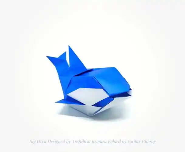 今日份折纸虎鲸盒子orca