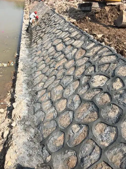 西侧k2 480～k2 530段池塘挡墙勾缝