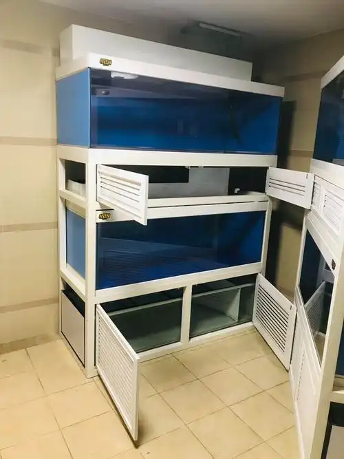 金沙湾鱼友私人订制2套复式双层组缸叠