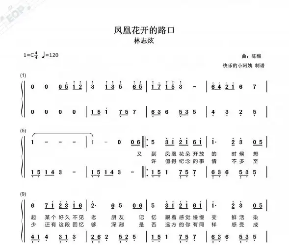 凤凰花开的路口附歌词林志炫