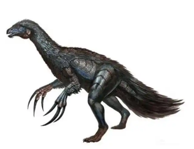 有些动物就是虚有其表,爪子长2米的镰刀龙,最大的本领是刨树根