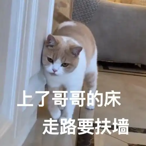 上了哥哥的床 走路要扶墙(喵星人表情包)_喵星人_扶墙_走路_哥哥表情