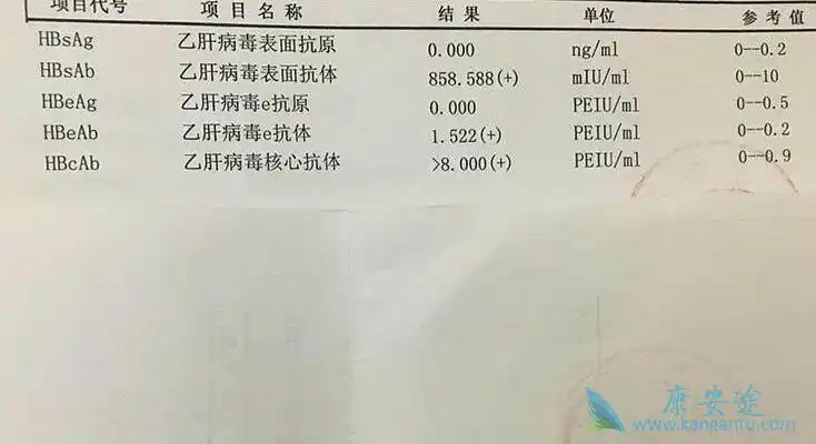 中出现" "不好,因而也会误认为乙肝表面抗体出现阳性的时候也是坏事