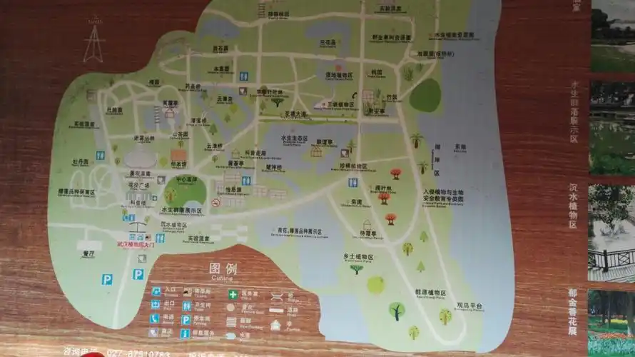 醉美植物园!最美童年!