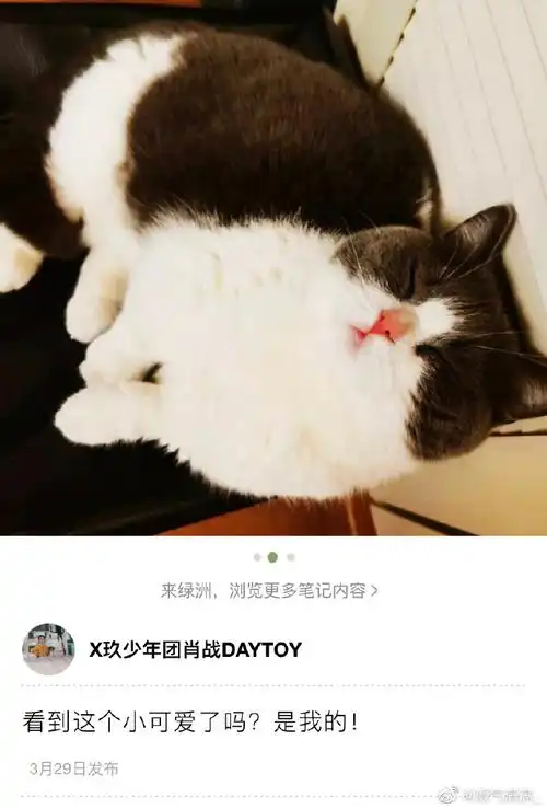 肖战绿洲晒坚果照片##肖战晒坚果照片宣示主权