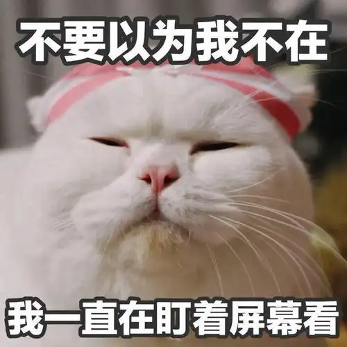 表情包图片大全 | 微信聊天表情包大全