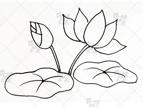 一,池塘中荷花盛开