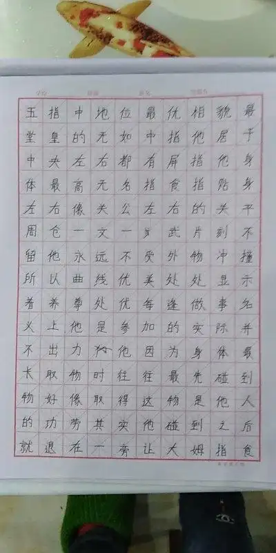 六(11)班学生寒假练字作业