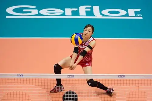 图文日本女排32德国接一传特写
