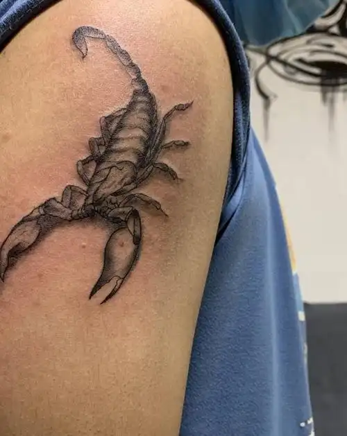 蝎子纹身图片_手臂纹身图案