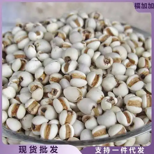 2023云南小薏米新鲜优质新货薏仁薏苡仁薏米五谷杂粮粗粮500g特产