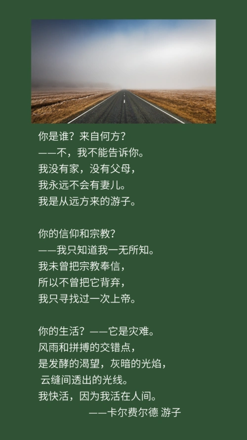 蝶兰花蝶兰花哟,爱之花,从你身上维纳斯歌唱着飘然走过.