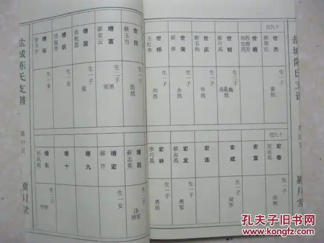 陈氏支谱(江苏盐城陈氏家谱,九四公十一支系,颍川堂,元末避战乱,由