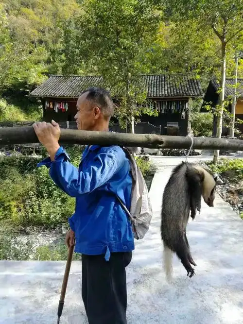 上山打猎收获不小.