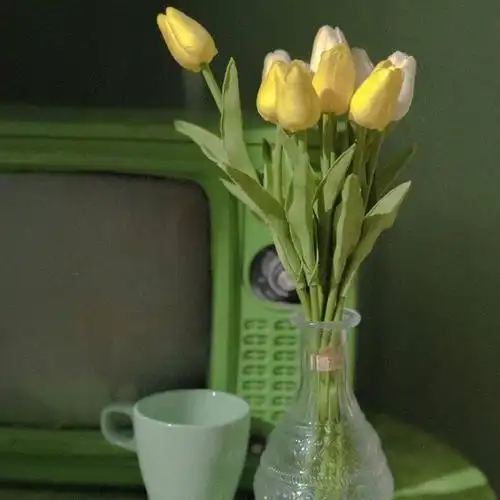 绿色系头像持更