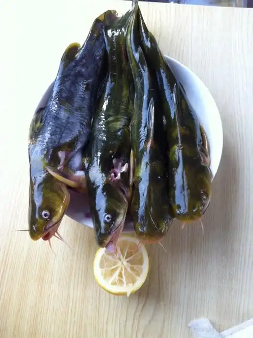 how to cook braised fish ga chinese food bible, recipe, cook