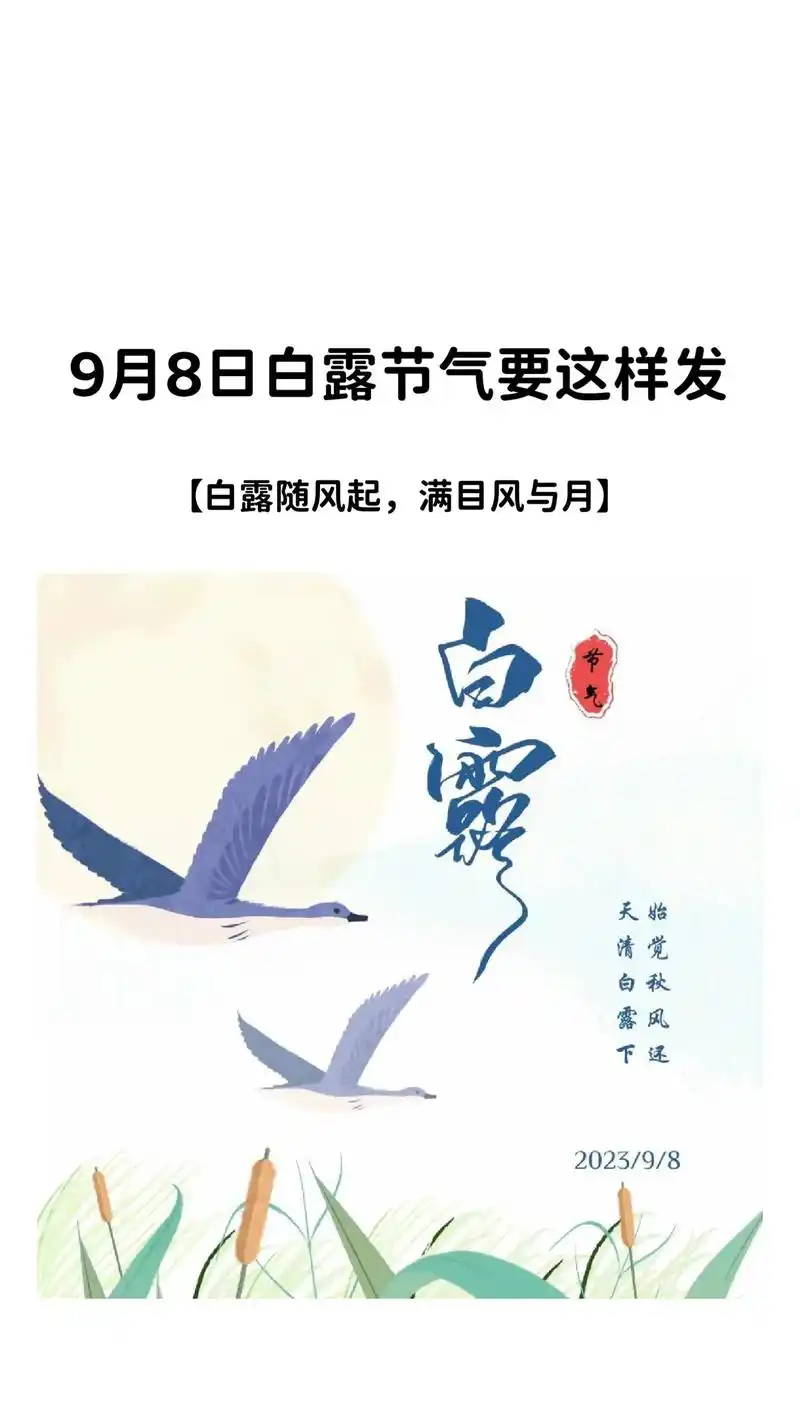 二十四节气  |  白露 秋风凉,草木凝 - 抖音