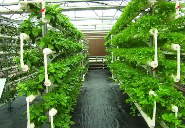 mg娱乐电子游戏4155.主页入口