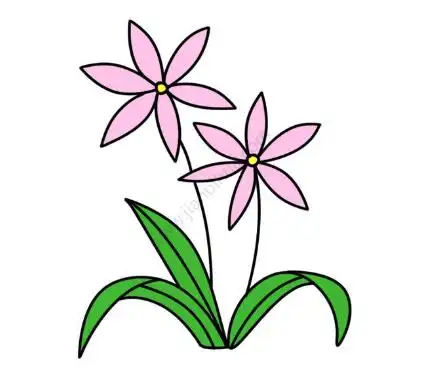 兰花简笔画图片