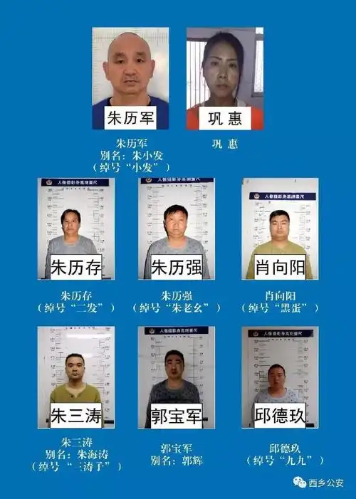 "黑老大"被省政协除名