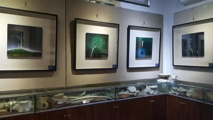 东方鱼骨艺术馆