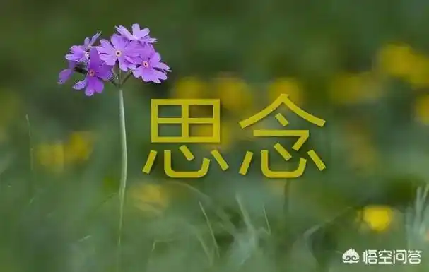 过年了,你想念天堂里的亲人吗?你会为他们做什么?_尚可名片