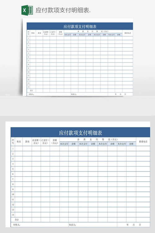 应付款项支付明细表.