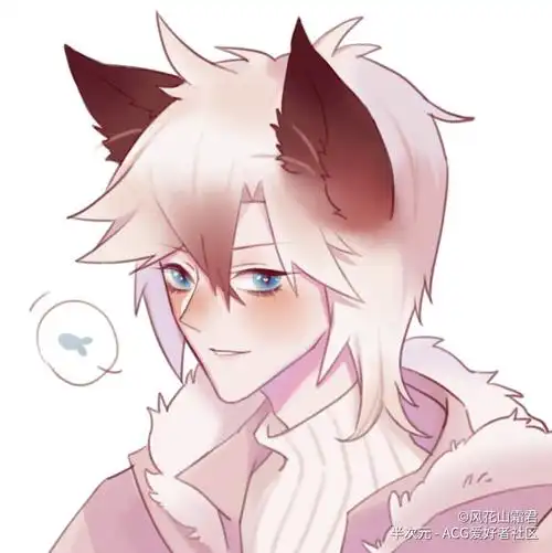 风花山霜君半次元猫咪拟人