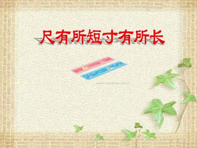 尺有所长寸有所短 完整版ppt