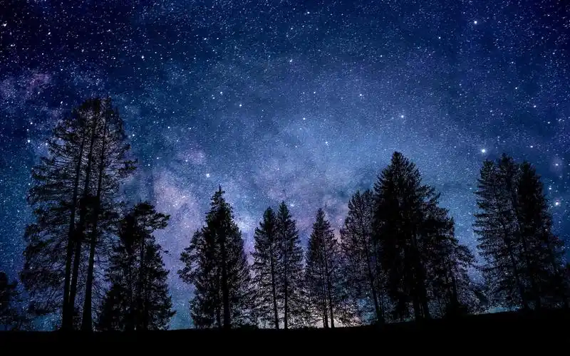 如此美丽的夜晚