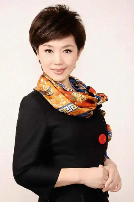 王颖(主持人) 简历 - 名人简历