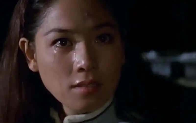 【团 | 安奴】"再见了,安奴"