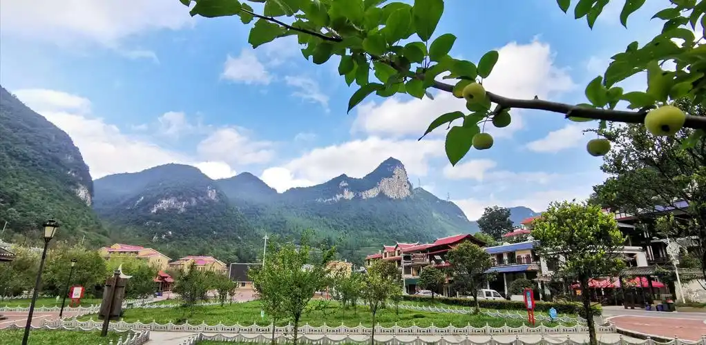 贵州凉都月照养生谷风光纪录片 2020.8.4,5拍摄