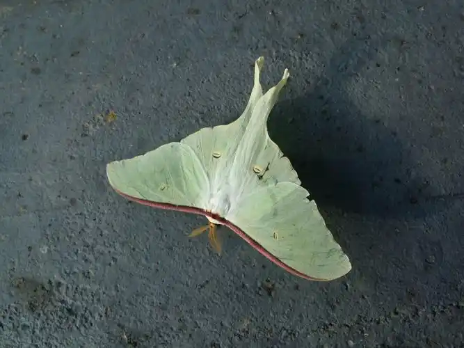 绿潭~我的科研基地