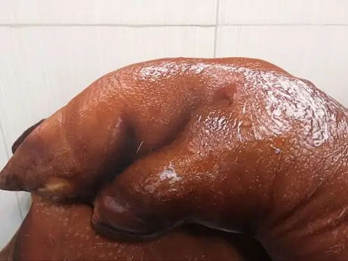 网红同款创意仿真搞怪猪蹄靠垫咸猪手猪脚抱枕午睡趴枕头女生礼物