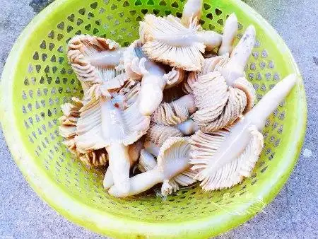 美食做法之前呢,我们先来认识它——这个只闻其名不见其真身的狗螺花