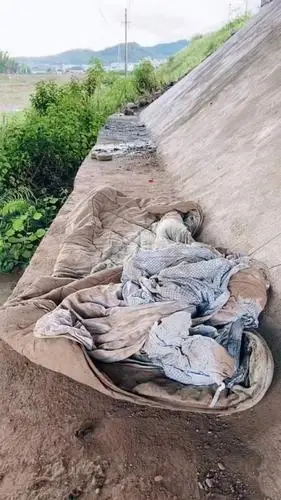 流浪第二十六天,曾经住别墅,现在睡桥洞!-全民小视频