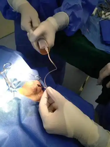 绝育不拆弹再也无需蛋蛋的忧伤