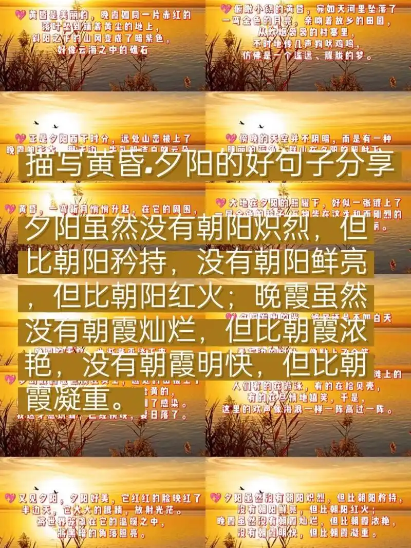 描写黄昏,夕阳的精美句子 💎黄昏,夕阳洒在河水上的光,像是许多金针