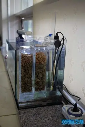 侧滤原理及设计图 - 鱼缸器材 - 龙巅观赏鱼