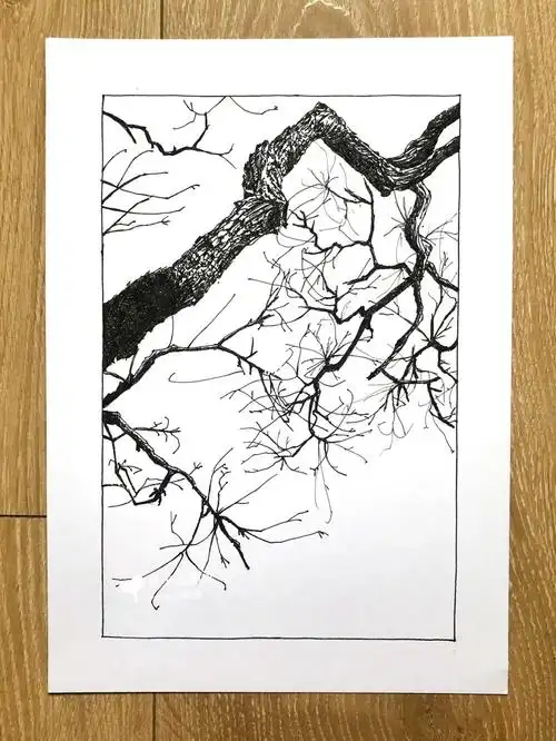 【小进钢笔画】冬天的树!