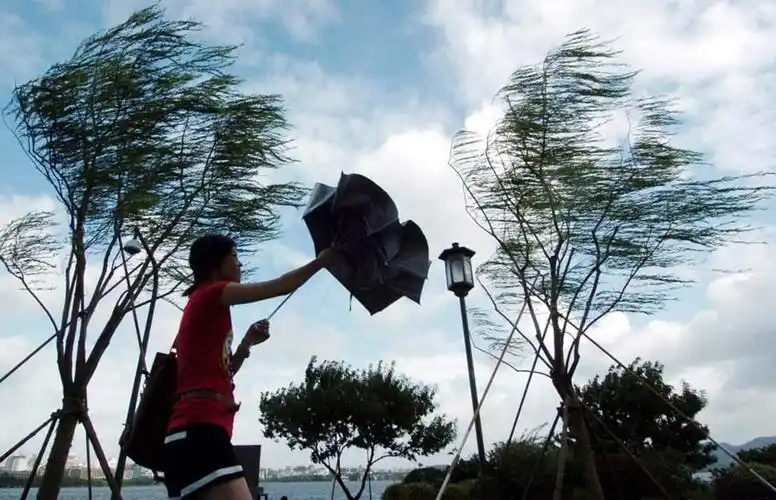 图片:暴风雨中的美女,也是一种别样的风景