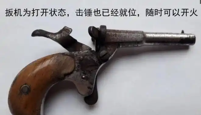 恶犬太可怕百多年前欧洲的对狗宝具专用来惩治恶犬的手枪